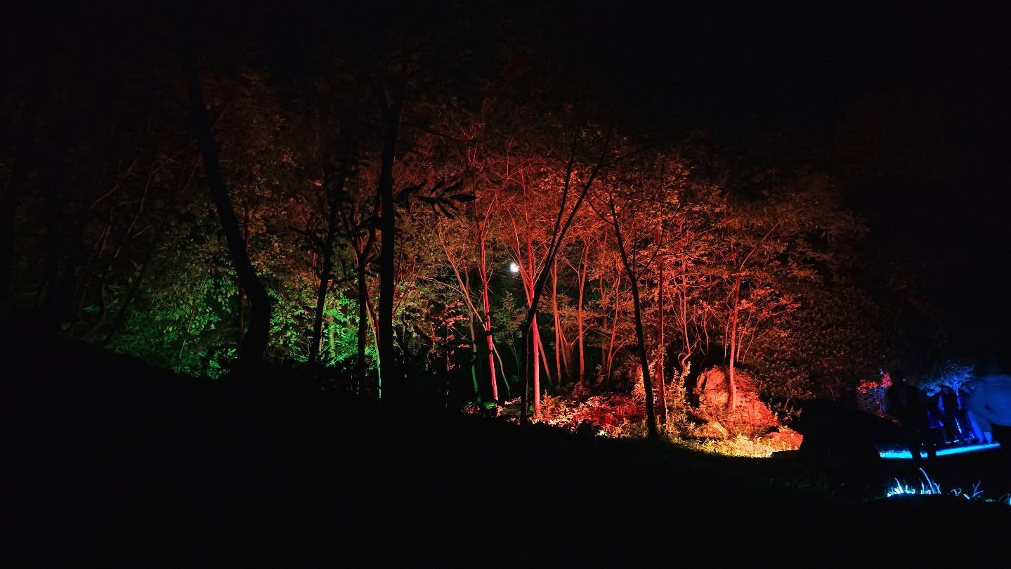 Allestimento palco Davide Van De Sfroos