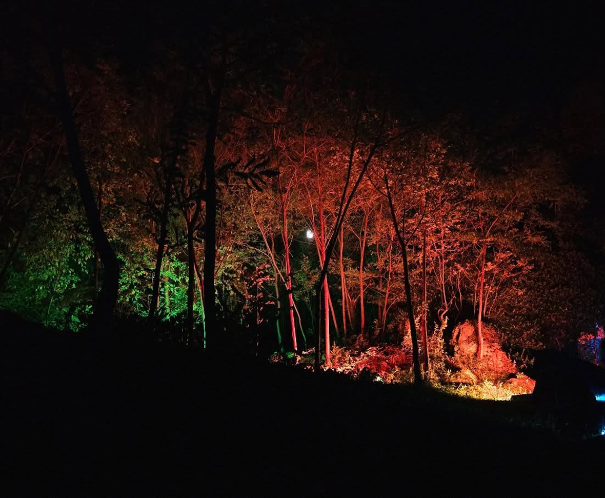 Installazioni architetturali con lighting design